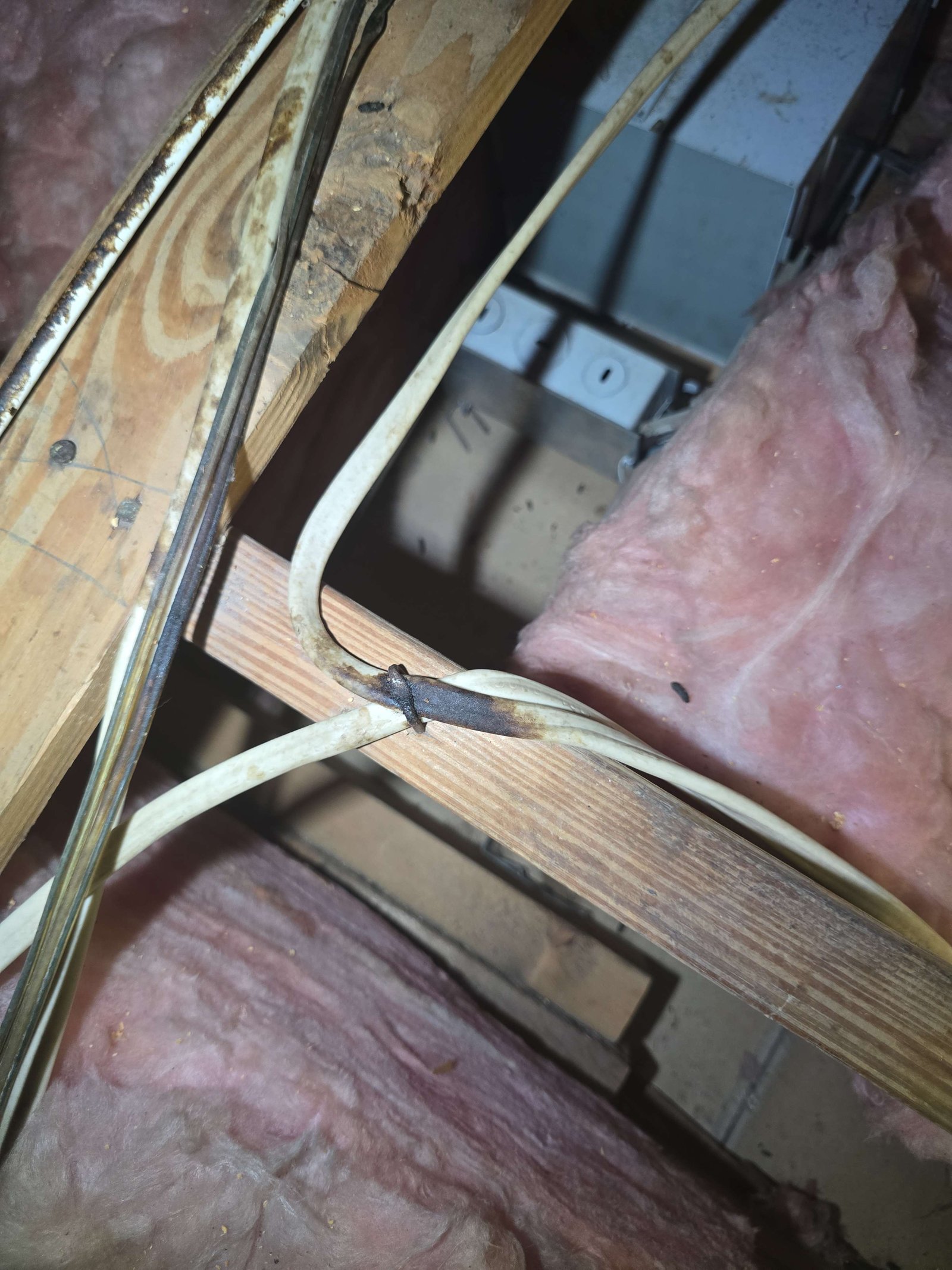 Scorched, darkened section of electrical cable sheathing crossing a wood framing member in an attic