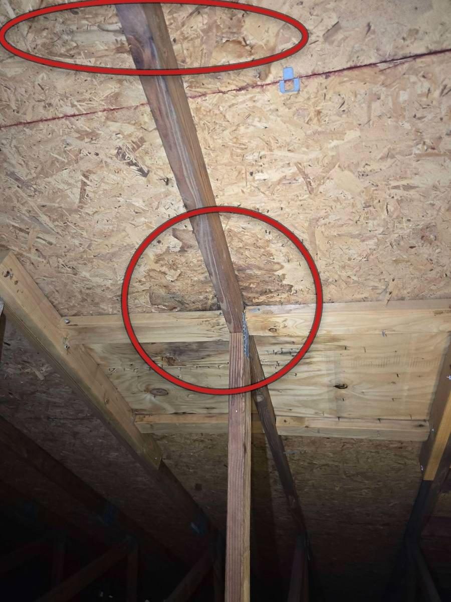Roof decking boards viewed from inside an attic, showing dark staining and areas of apparent surface damage to the wood panels.