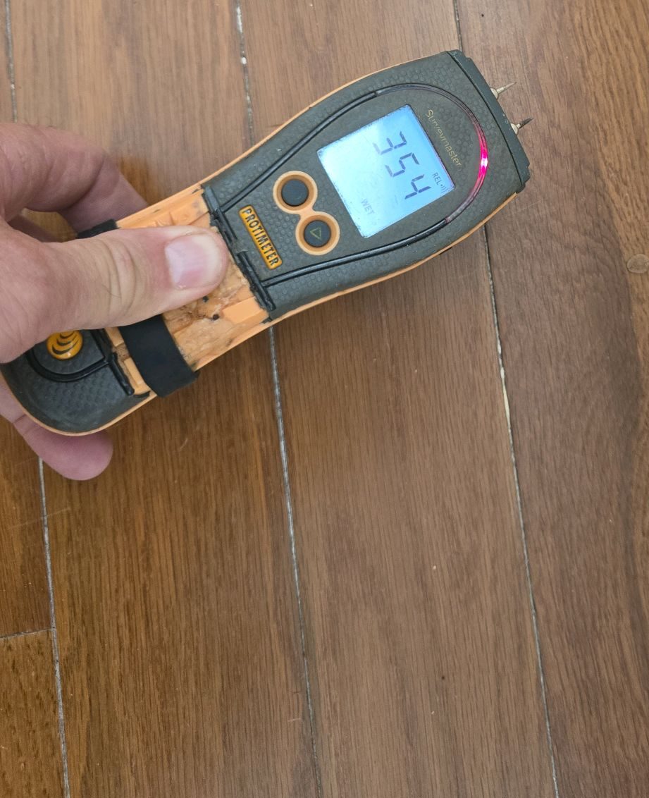 Moisture meter reading taken at an interior baseboard during a home inspection