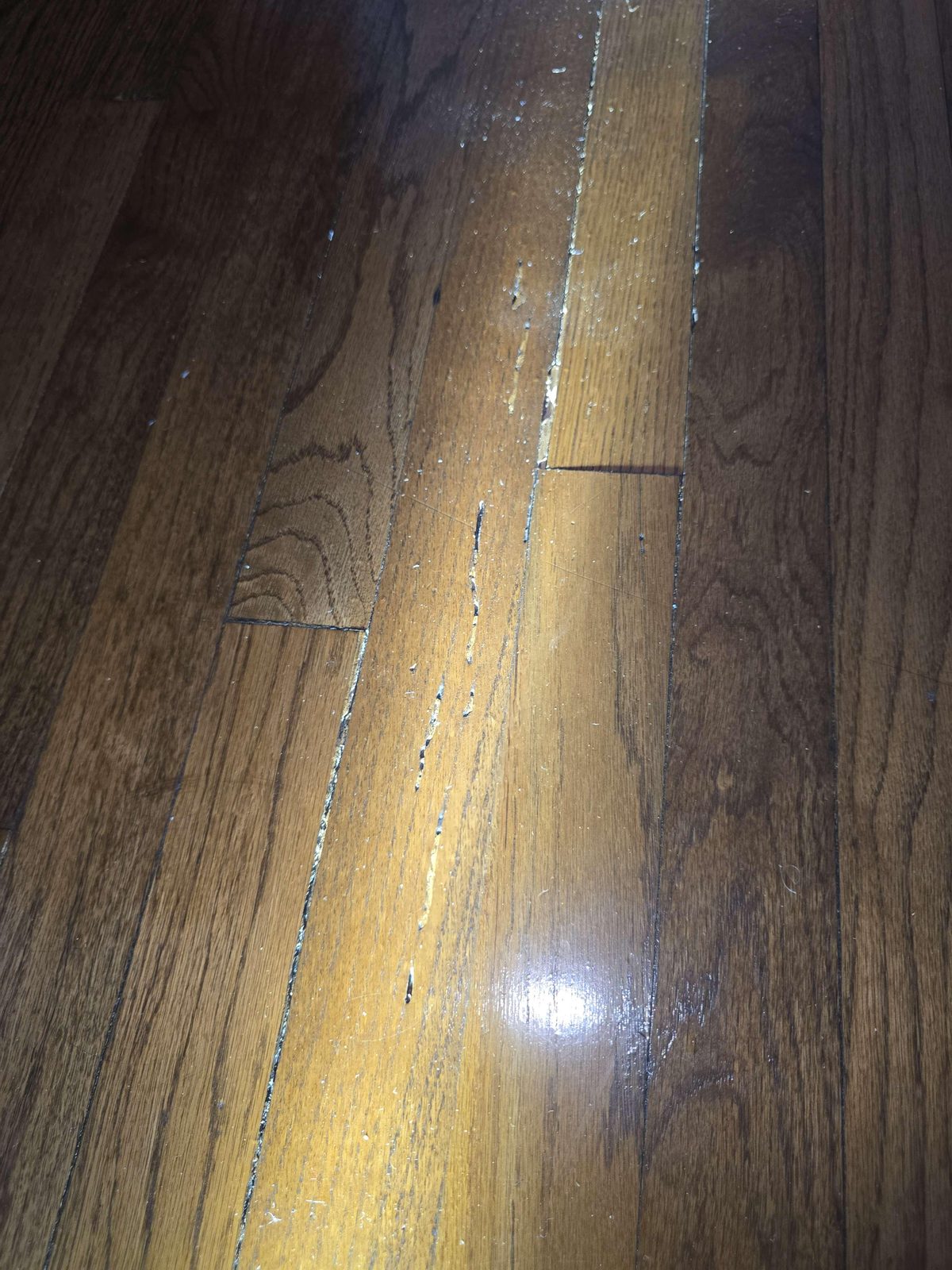 Close-up of a wood floor surface showing termite damage: the wood grain is hollowed, channeled, and broken in the affected area