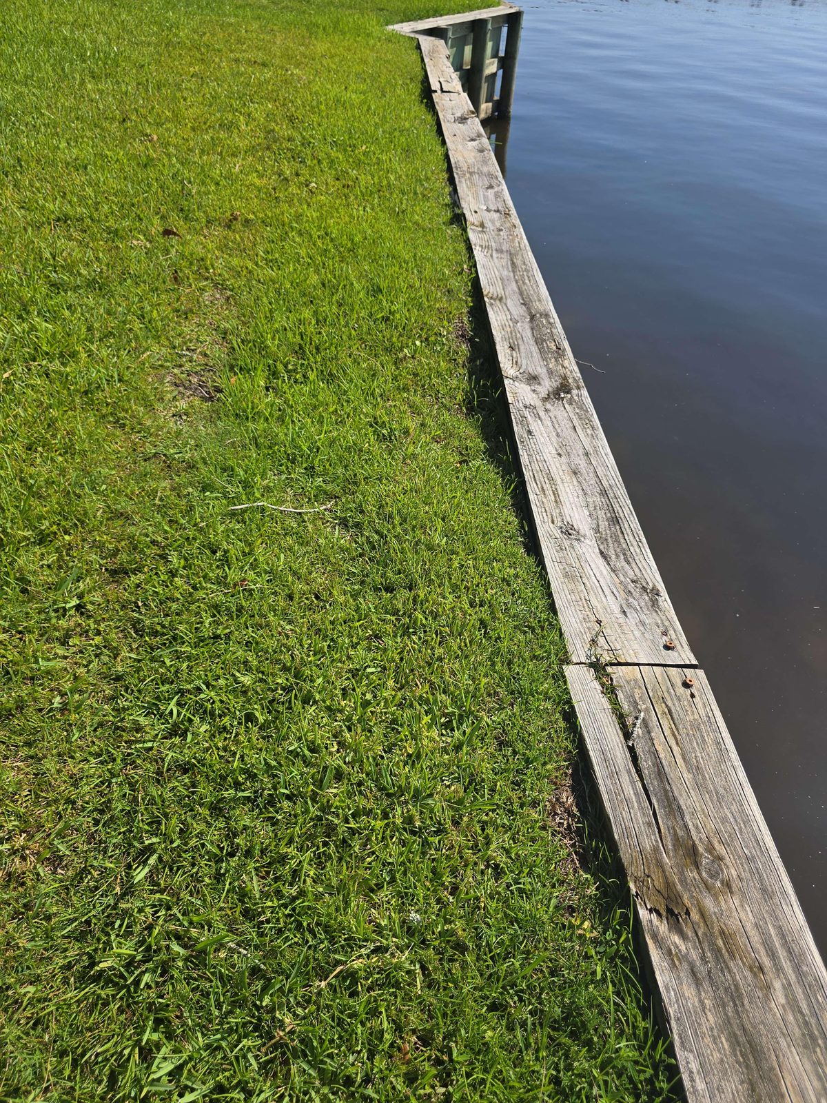 Close-up of a timber bulkhead showing fastener heads pulling away from the wood surface and splitting along the wood grain, with eroded soil visible at the base