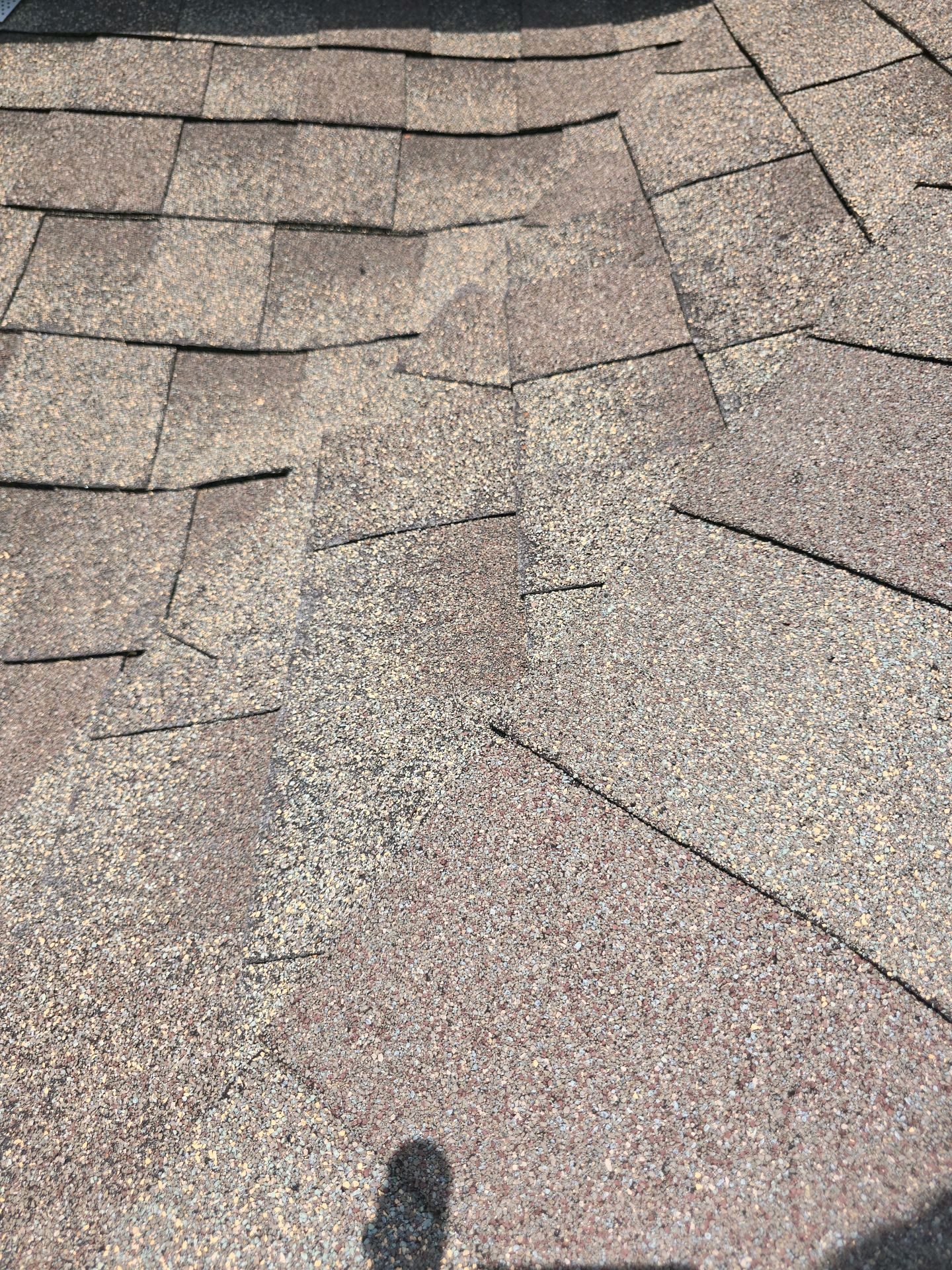 Close-up of architectural roof shingles inspected for premature aging and granule loss